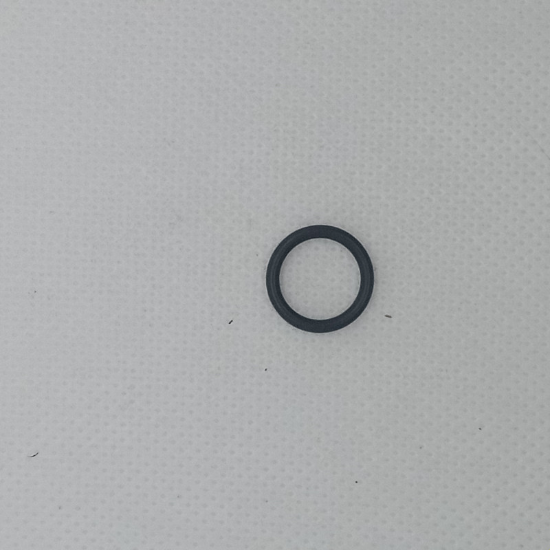 10090 - O-Ring Per Mozzo Anteriore (10 pz.)