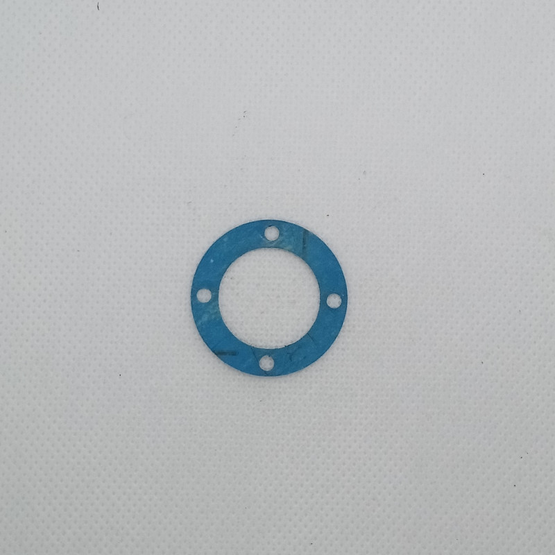 10161 - Guarnizione Diff. Post. X Art. 20246 (3 pz.)